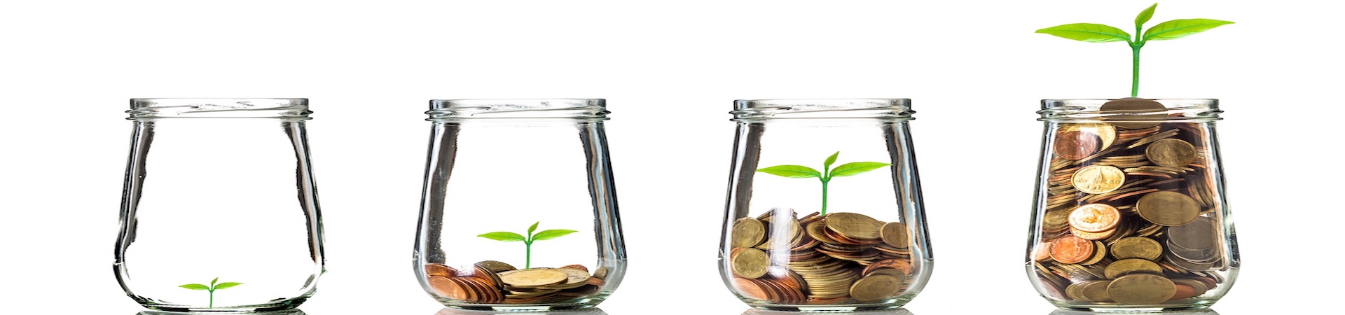 Combining Luxury with Lucrative Returns